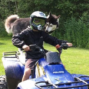 Meet your Posher, Nancy